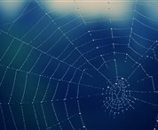 LET'S Network: Letters, Emails, Telephone,...